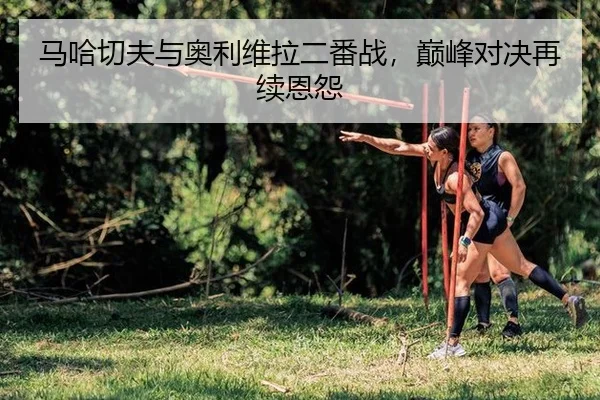 马哈切夫与奥利维拉二番战，巅峰对决再续恩怨